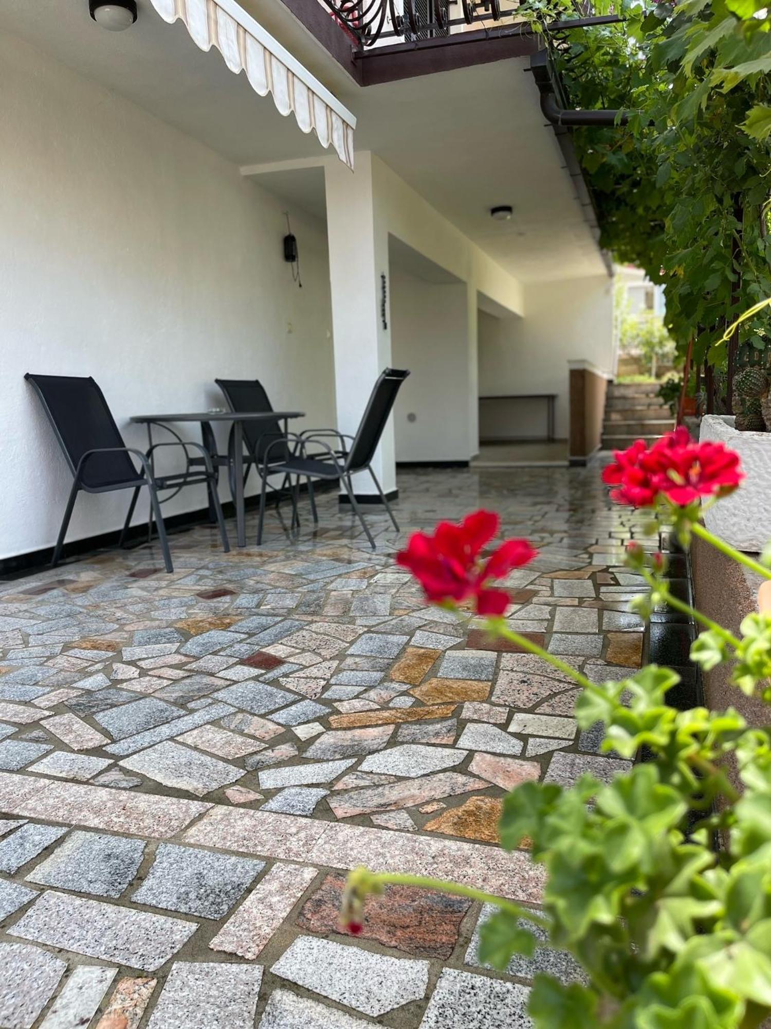 טרוגיר Villa Petra מראה חיצוני תמונה