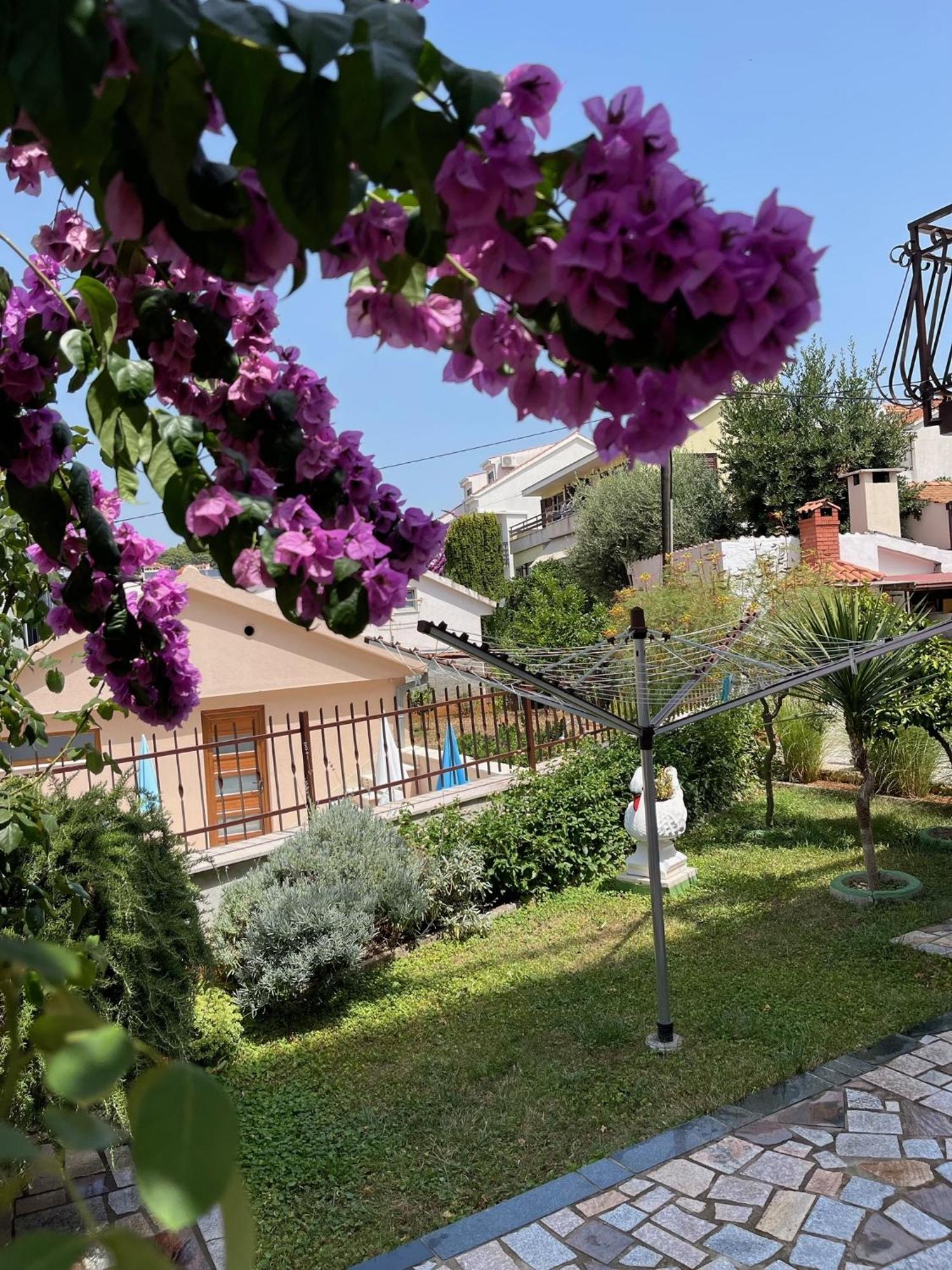 טרוגיר Villa Petra מראה חיצוני תמונה