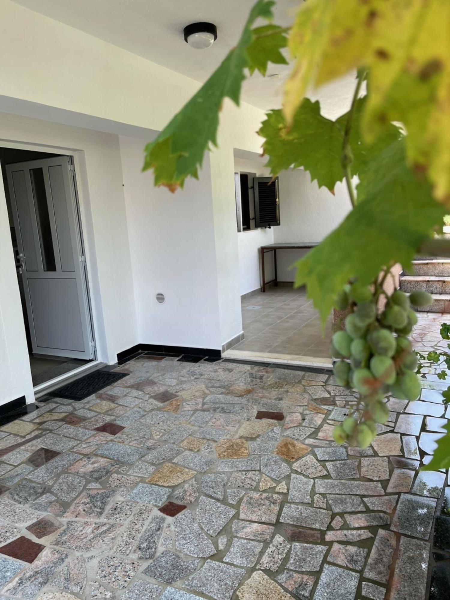 טרוגיר Villa Petra מראה חיצוני תמונה