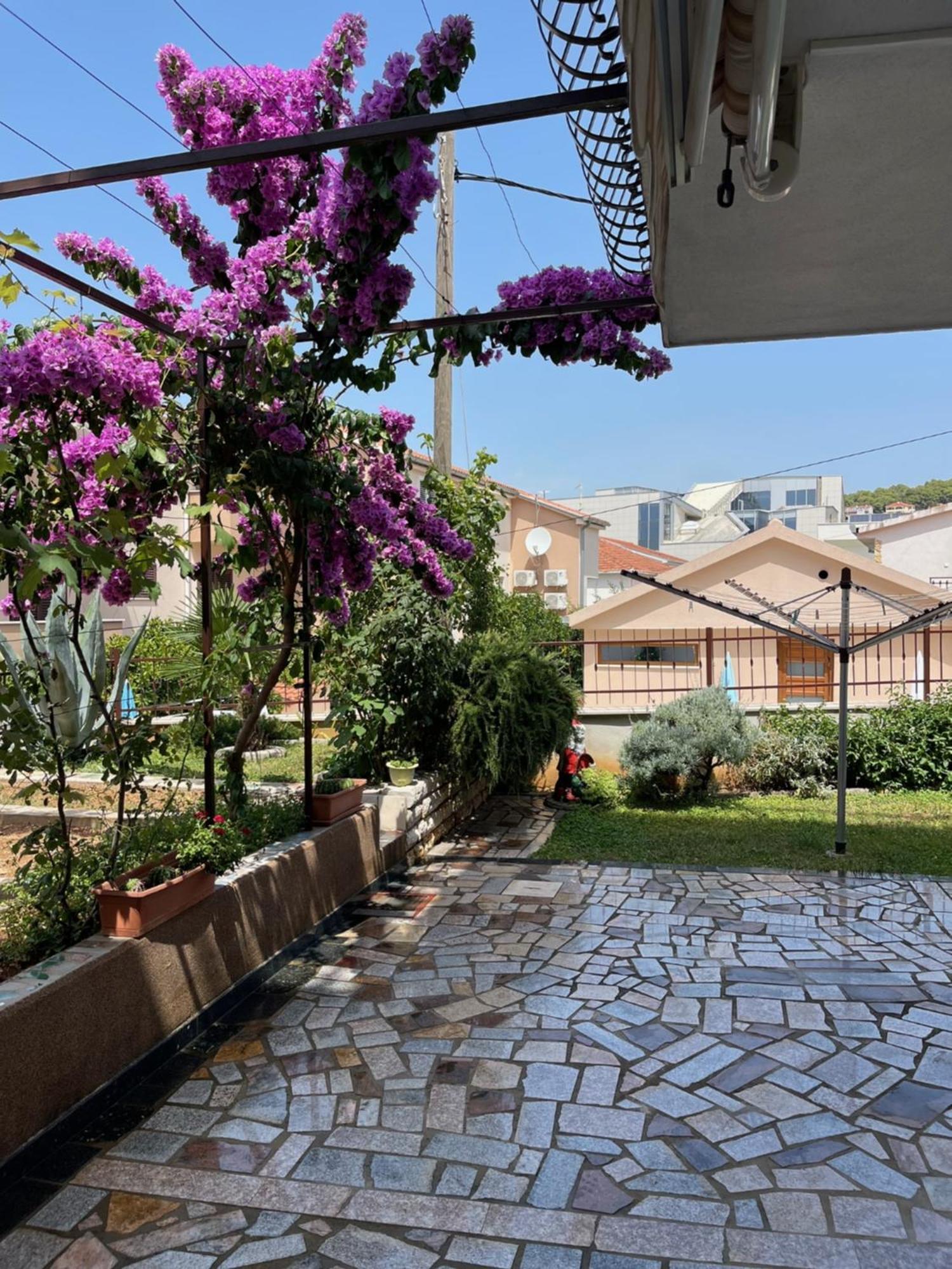 טרוגיר Villa Petra מראה חיצוני תמונה